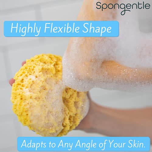Spongentle Ultra Soft Body Loofah Sponge, for Bath and Shower, Multiple Textu...