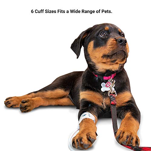 SunTech Veterinary Blood Pressure Cuffs Pack of 6 Sizes #1-6