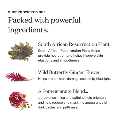 Supergoop! Bright-Eyed 100% Mineral Eye Cream, 0.5 fl oz - SPF 40 PA+++ Hydra...