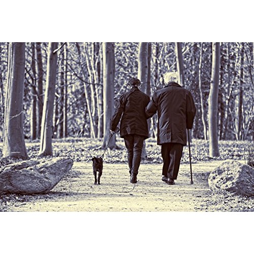 SureTip Black Crutch Tips & Cane Tip (Pair of 2) – 1 Size Fits All 3/4" 7/8” ...