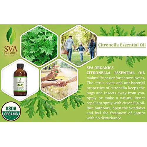 SVA Organics Citronella Essential Oil Organic USDA 4 Oz Pure Natural Therapeu...