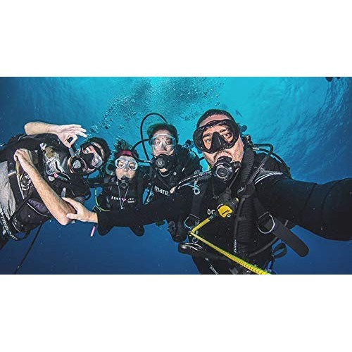 SwimSeal Ear Drops for Protection Against Trapped Water! Replaces Earplugs - ...