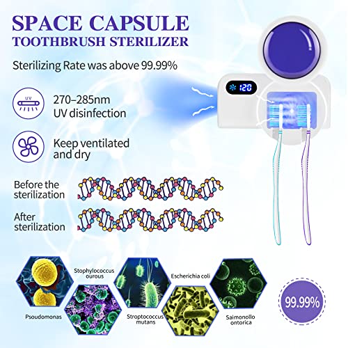 TAISHAN UV Sanitizer Toothbrush Case，Portable Mini Toothbrush Holder With Fa...