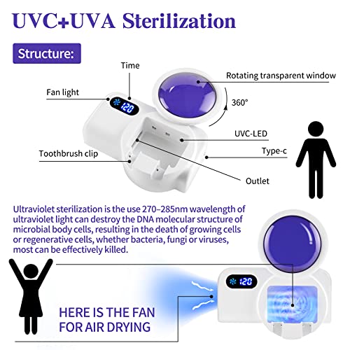 TAISHAN UV Sanitizer Toothbrush Case，Portable Mini Toothbrush Holder With Fa...