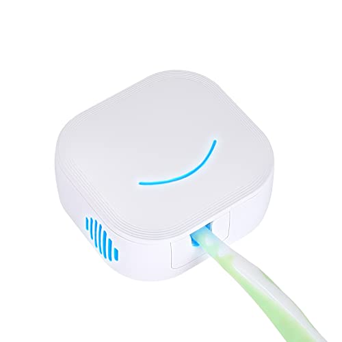 TAISHAN UV Sanitizer Toothbrush Case，Rechargeable Portable Mini Toothbrush H...