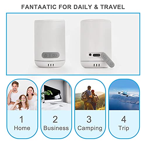 TAISHAN UV Sanitizer Toothbrush Case，Rechargeable Portable Mini Travel Tooth...