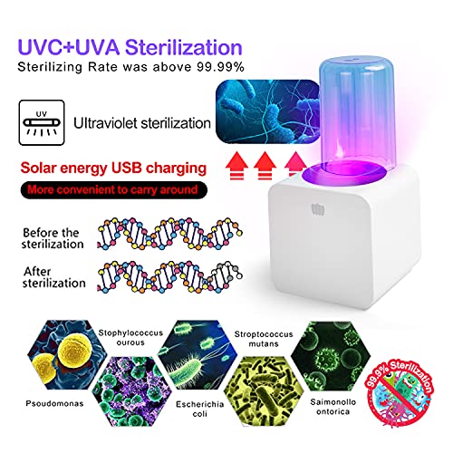 TAISHAN UV Toothbrush Sanitizer Holder，Sterilizer for All Toothbrushes with ...