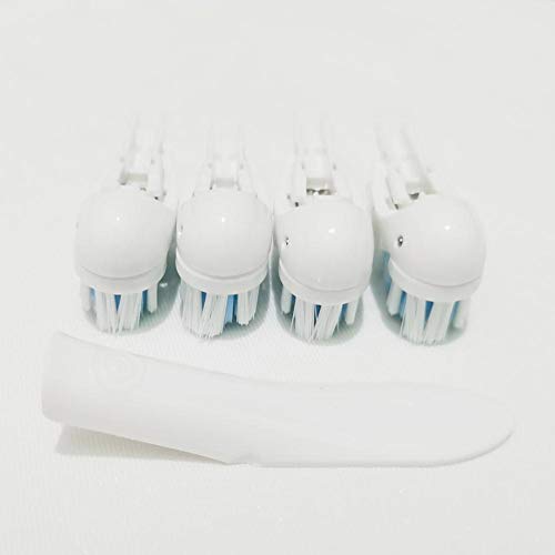 Sensitive Replacement Electric Replacement Toothbrush Heads (4 Count), Dual C...