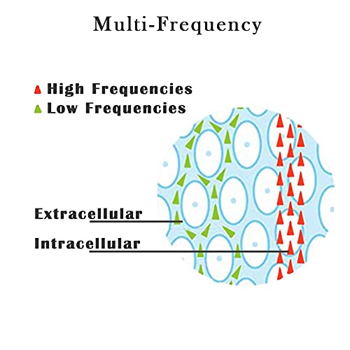 TANITA's BC-1500 InnerScan PRO FDA Cleared, Multi-Frequency, Segmental, Radio...