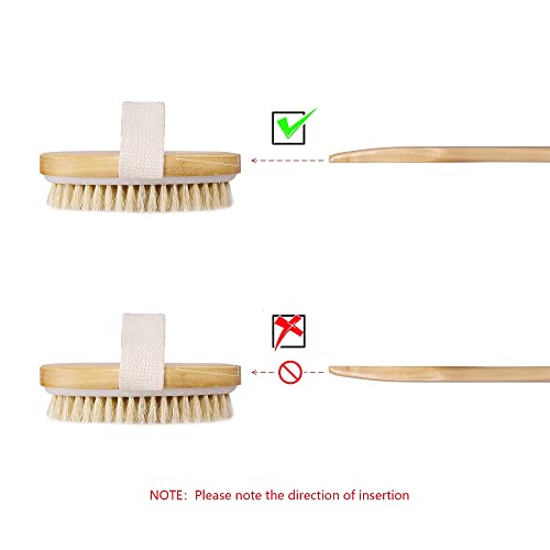 Dry Brushing Body Brush Set of 2, Natural Bristle Dry Skin Exfoliating Brush,...