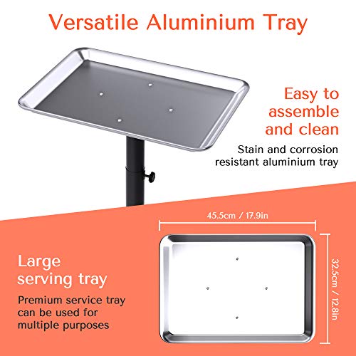 TASALON Salon Tray on Wheels - Aluminum Instrument Tattoo Tray with Wheels - ...