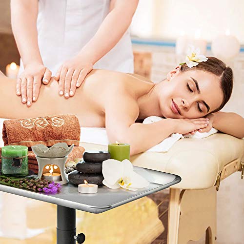 TASALON Salon Tray on Wheels - Aluminum Instrument Tattoo Tray with Wheels - ...