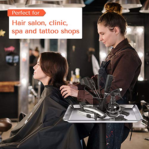 TASALON Salon Tray on Wheels - Aluminum Instrument Tattoo Tray with Wheels - ...