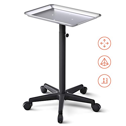 TASALON Salon Tray on Wheels - Aluminum Instrument Tattoo Tray with Wheels - ...