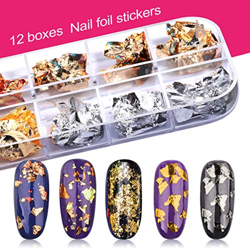 Nail Art Brush, Teenitor 3D Nail Art Decorations Kit with Nail Pen Designer D...