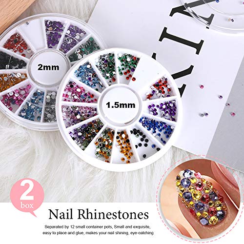 Nail Pen Designer, Teenitor Stamp Nail Art Tool with 15pcs Nail Painting Brus...
