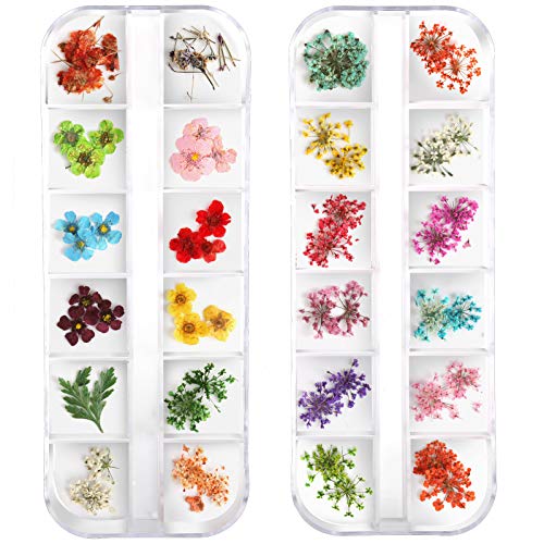 Teenior 24 Colors Nail Dried Flowers, 3d Nail Art Sticker for Tips Manicure D...