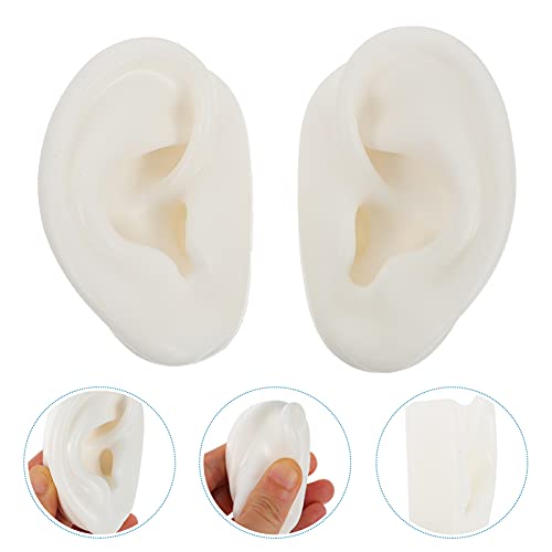 TEHAUX 1 Pair Silicone Ear Model Soft- Flexible Earmold Ear Displays for Acup...