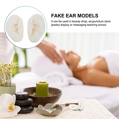 TEHAUX 1 Pair Silicone Ear Model Soft- Flexible Earmold Ear Displays for Acup...