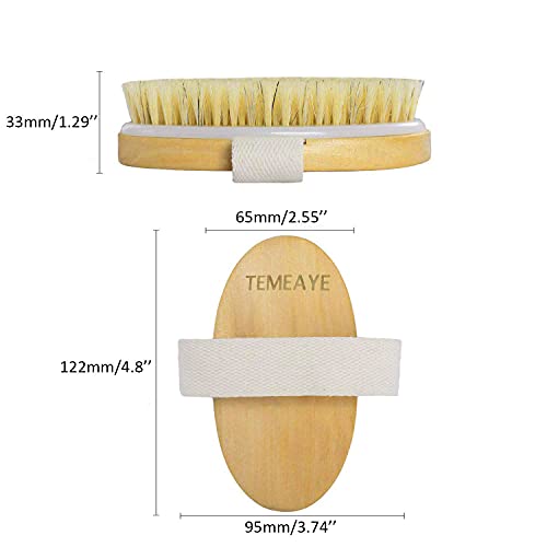 Dry Body Brush,Gentle Exfoliation,Remove Cellulite,Lymphatic Drainage,Slong B...