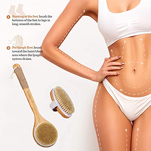 Dry Body Brush,Gentle Exfoliation,Remove Cellulite,Lymphatic Drainage,Slong B...