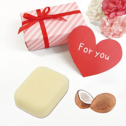 Pumice Stone for Feet, Body, Hands [Made in Japan] Coconut Oil Blended for Ex...