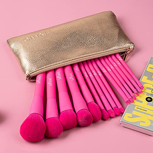 Makeup Brush Set, 15 Piece Quality Makeup Brushes, Premium Synthetic Make Up ...