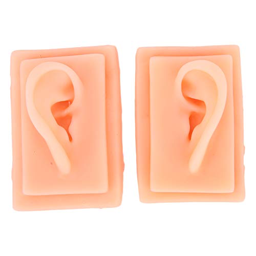 Essential Ear Model, Ear Model Acupuncture Ear Model Silica Gel
