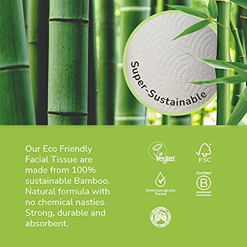 The Cheeky Panda – Bamboo Facial Tissues | Bulk Box of 12 Packs (56 Tissues p...