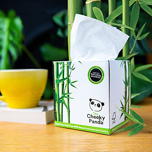 The Cheeky Panda – Bamboo Facial Tissues | Bulk Box of 12 Packs (56 Tissues p...