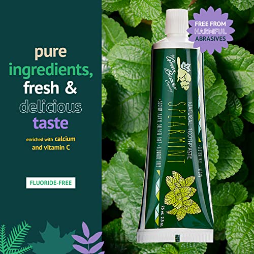 Green Beaver All Natural Organic Toothpaste, Vegan, Fluoride Free & Gluten Fr...