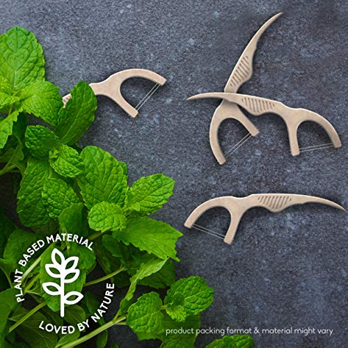 The Humble Co. Natural Dental Floss Picks (200 Count) - Vegan, Eco Friendly, ...
