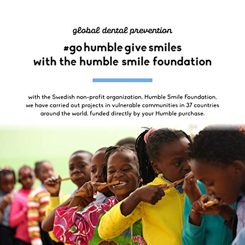 The Humble Co. Natural Dental Floss Picks (200 Count) - Vegan, Eco Friendly, ...