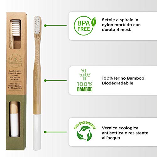 Eco Friendly and Biodegradable Bamboo Toothbrush Water Resistant | Plastic Fr...