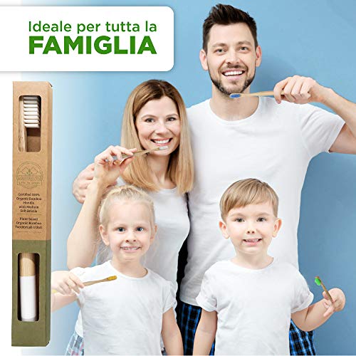 Eco Friendly and Biodegradable Bamboo Toothbrush Water Resistant | Plastic Fr...