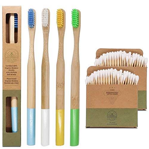 Eco Friendly and Biodegradable Bamboo Toothbrush Water Resistant | Plastic Fr...