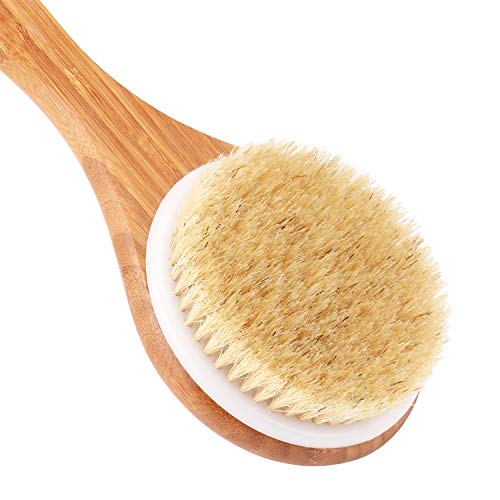 Bath Brush with Long Bamboo Handle - Natural Bristle Brushes Exfoliating Skin...