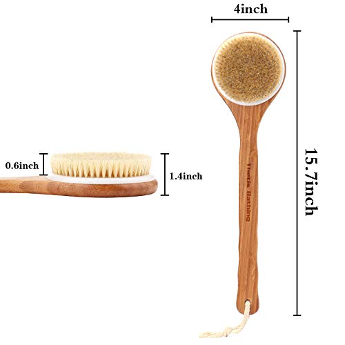 Bath Brush with Long Bamboo Handle - Natural Bristle Brushes Exfoliating Skin...
