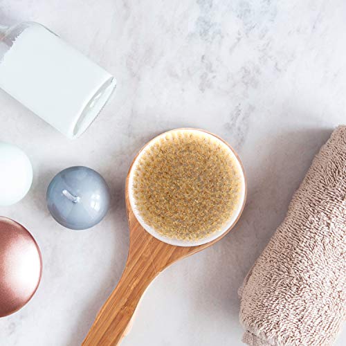 Bath Brush with Long Bamboo Handle - Natural Bristle Brushes Exfoliating Skin...