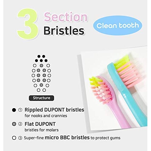 TheTwelve Kids Toothbrush for 3-8 Years Rainbow Colors and Packs 12 PACK