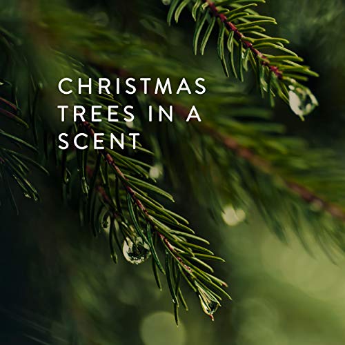 Thymes Hand Wash - 8.25 Fl Oz - Frasier Fir