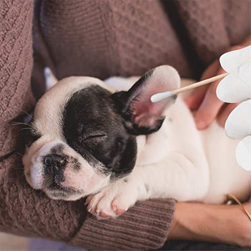 tifanso Cotton Swabs for Ears with Long Wooden Sticks 100 Count 6 Inches Cott...