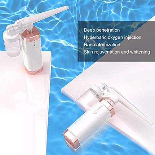 Face Beauty Instrument, Oxygen Injection Airbrush, Nano Mist Spray Hydration ...