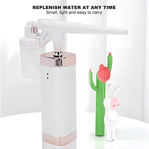 Face Beauty Instrument, Oxygen Injection Airbrush, Nano Mist Spray Hydration ...