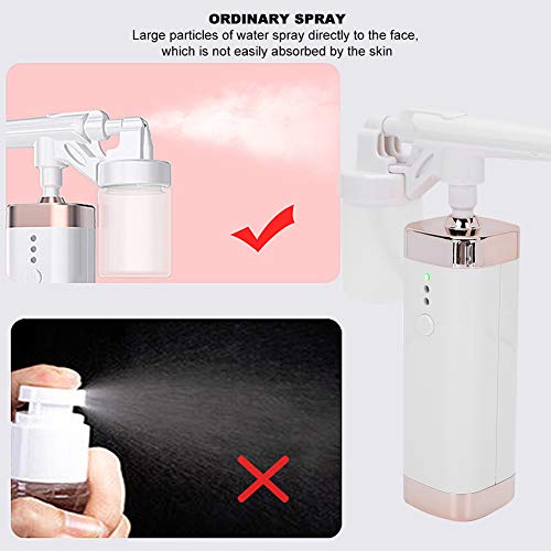 Face Beauty Instrument, Oxygen Injection Airbrush, Nano Mist Spray Hydration ...