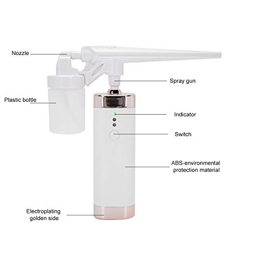 Face Beauty Instrument, Oxygen Injection Airbrush, Nano Mist Spray Hydration ...