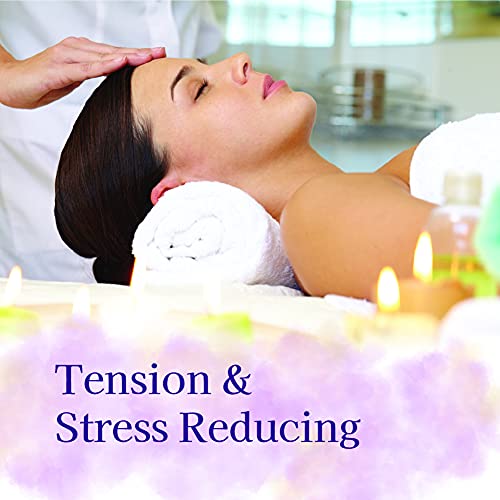 TOA Supply Soothing Hydrating Natural Body Spa Massage Oil Unscented Case of ...