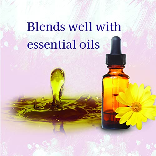 TOA Supply Soothing Hydrating Natural Body Spa Massage Oil Unscented Case of ...