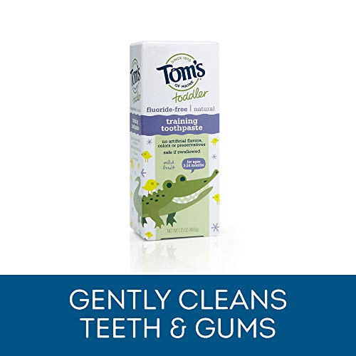 Tom's of Maine Fluoride-Free Toddler Training Toothpaste, Mild Fruit, 1.75 oz...