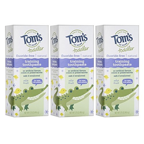 Tom's of Maine Fluoride-Free Toddler Training Toothpaste, Mild Fruit, 1.75 oz...